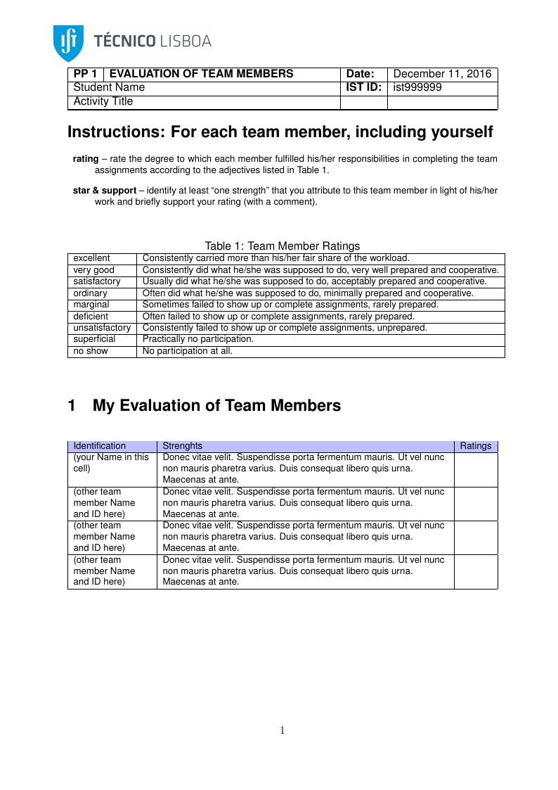 TEAM-EVAL-REPORT